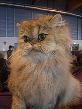 wp65454f2d.png