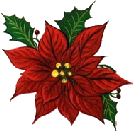 wp6b22e9b4.gif