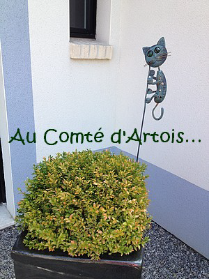 wpc8d02471.png