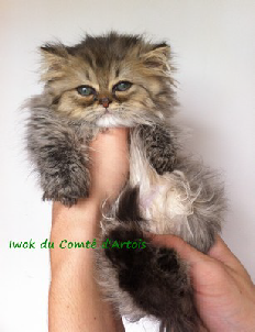 wpf724658e.png