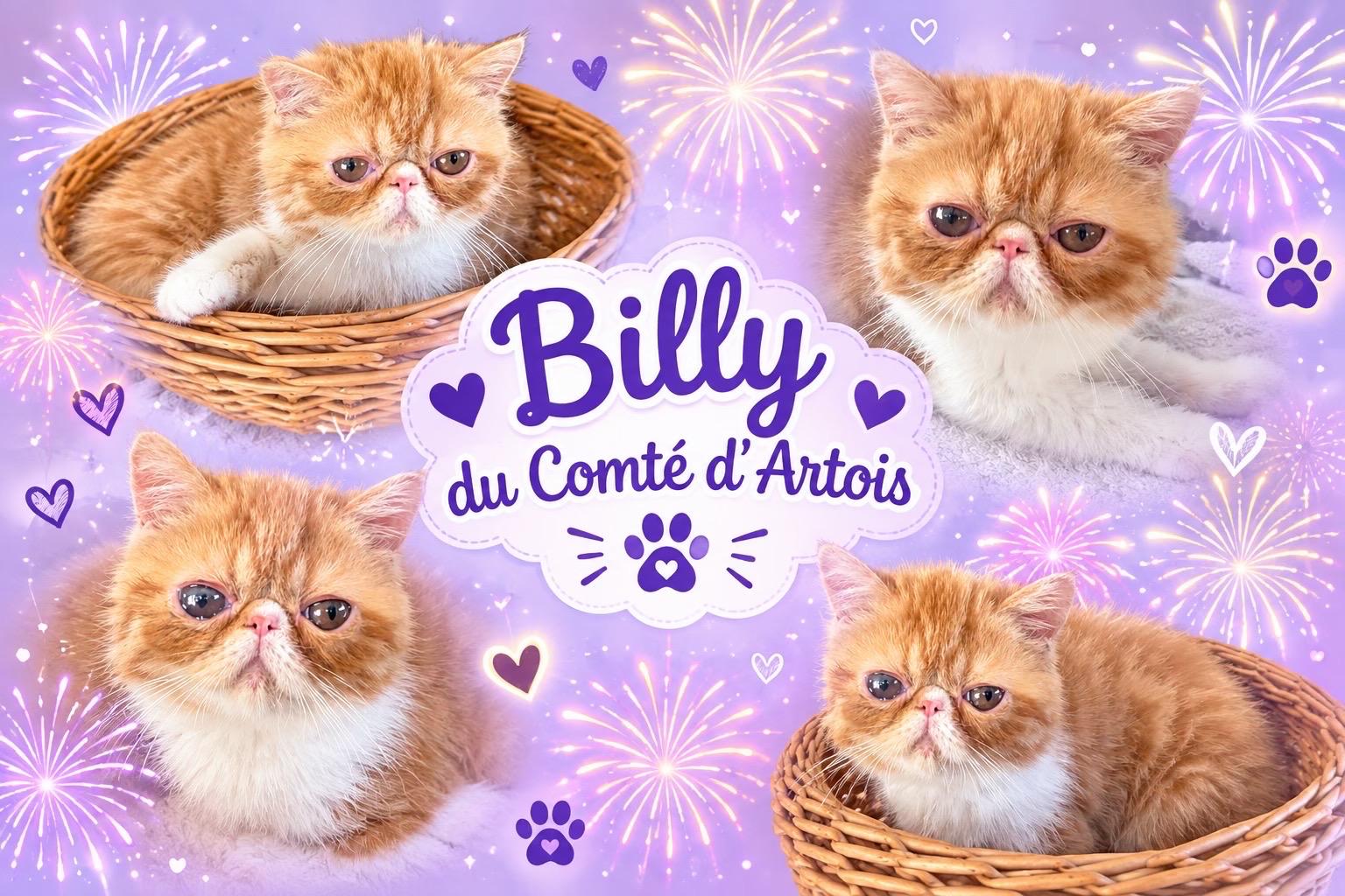 Billy du Comt&eacute; d'Artois
