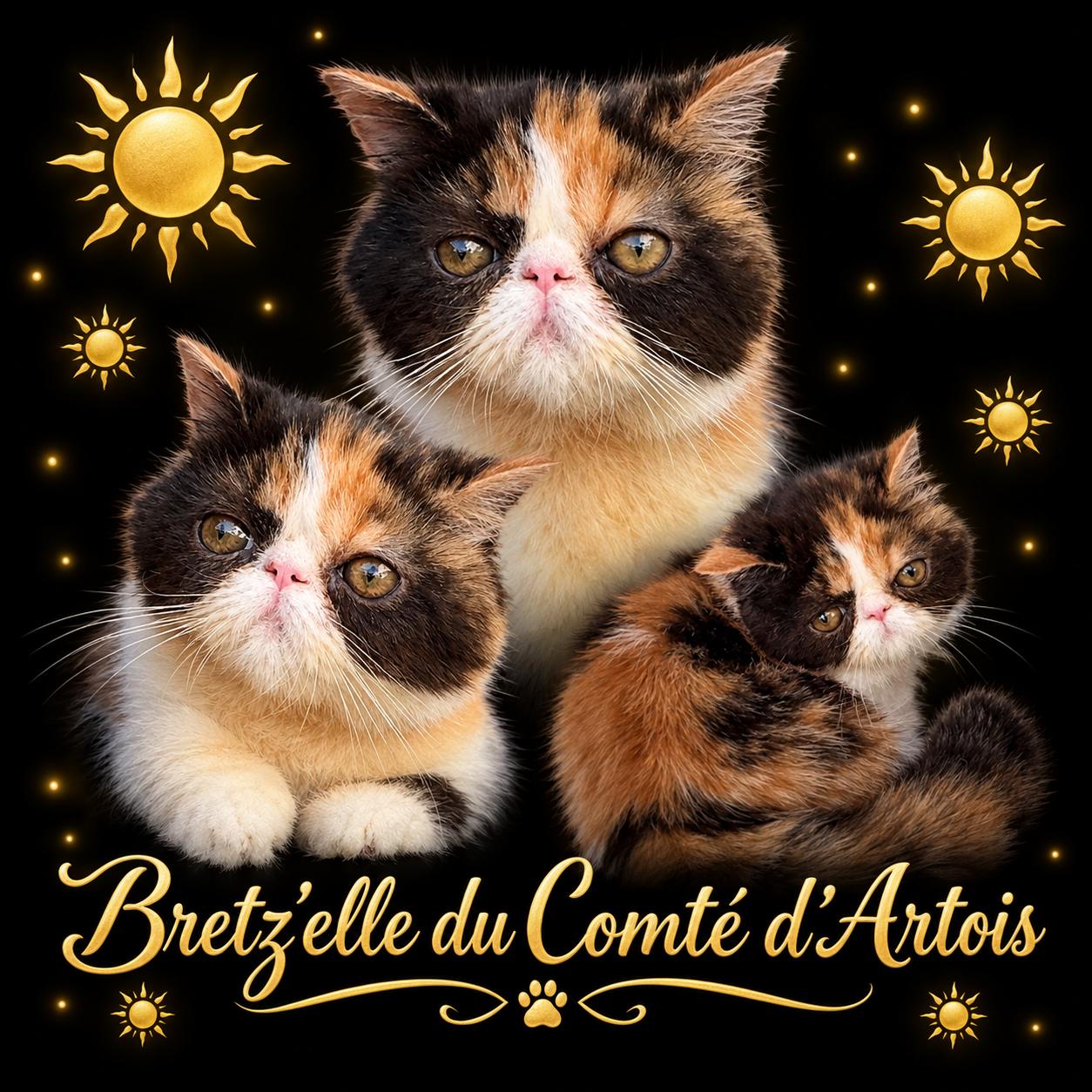 Bretz'elle du Comt&eacute; d'Artois